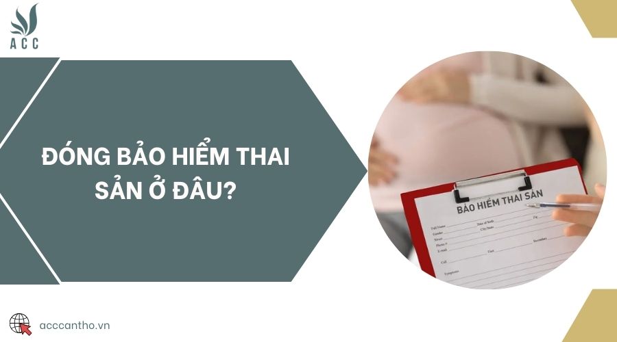 Đóng bảo hiểm thai sản ở đâu?