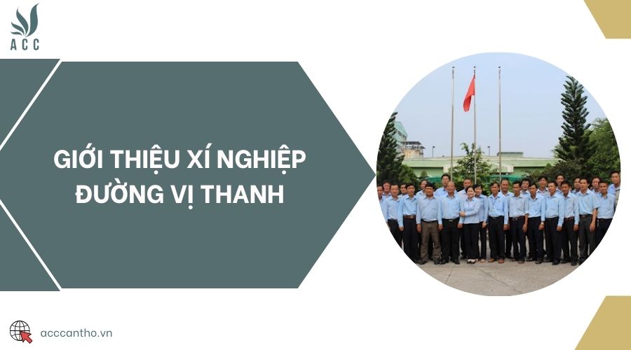 Giới thiệu xí nghiệp đường Vị Thanh