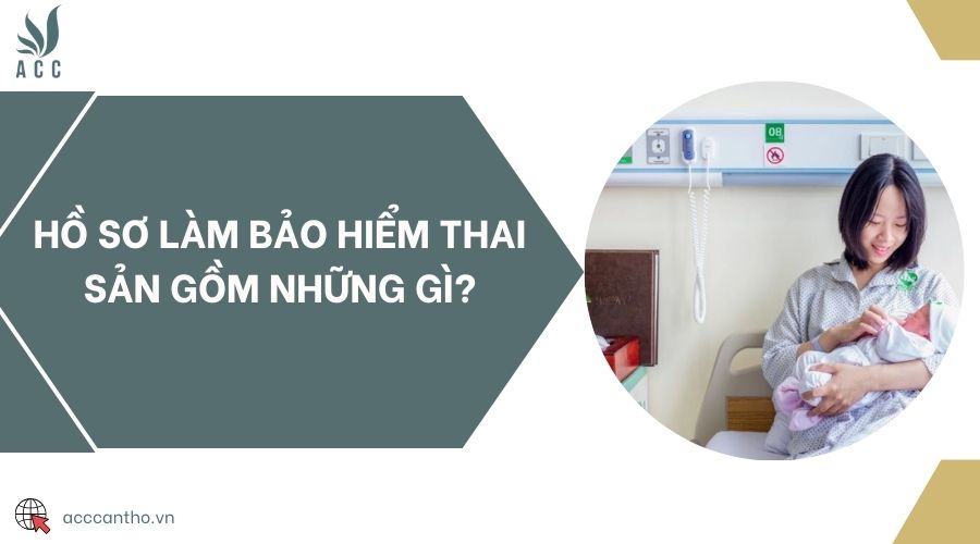 Hồ sơ làm bảo hiểm thai sản gồm những gì?
