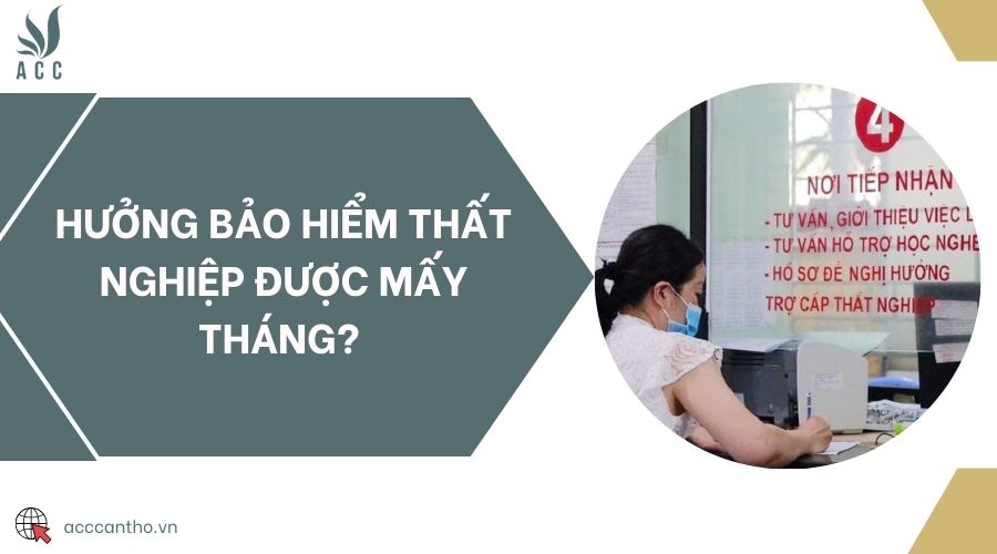 Hưởng bảo hiểm thất nghiệp được mấy tháng? 