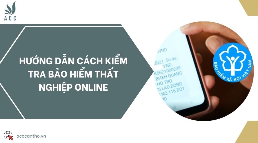 Hướng dẫn cách kiểm tra bảo hiểm thất nghiệp online