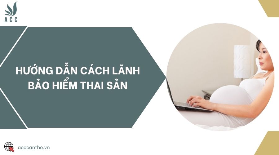 Hướng dẫn cách lãnh bảo hiểm thai sản