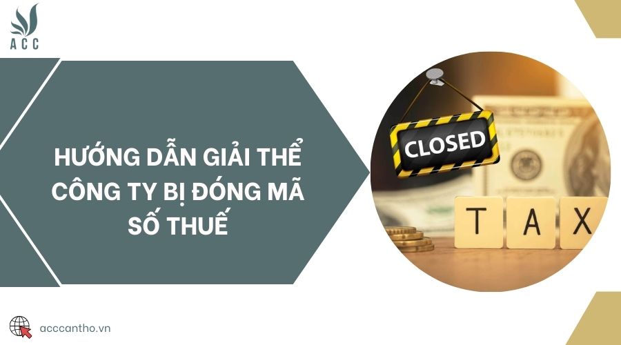 Hướng dẫn giải thể công ty bị đóng mã số thuế