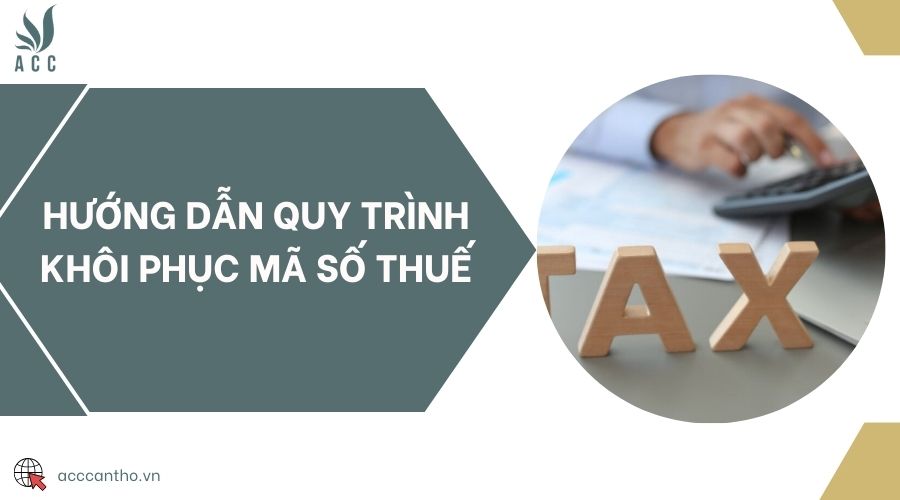 Hướng dẫn quy trình khôi phục mã số thuế
