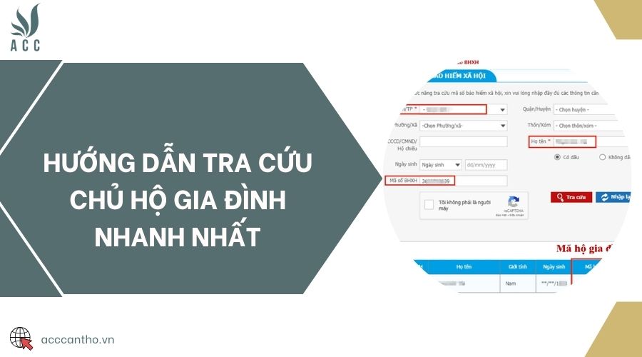 Hướng dẫn tra cứu chủ hộ gia đình nhanh nhất