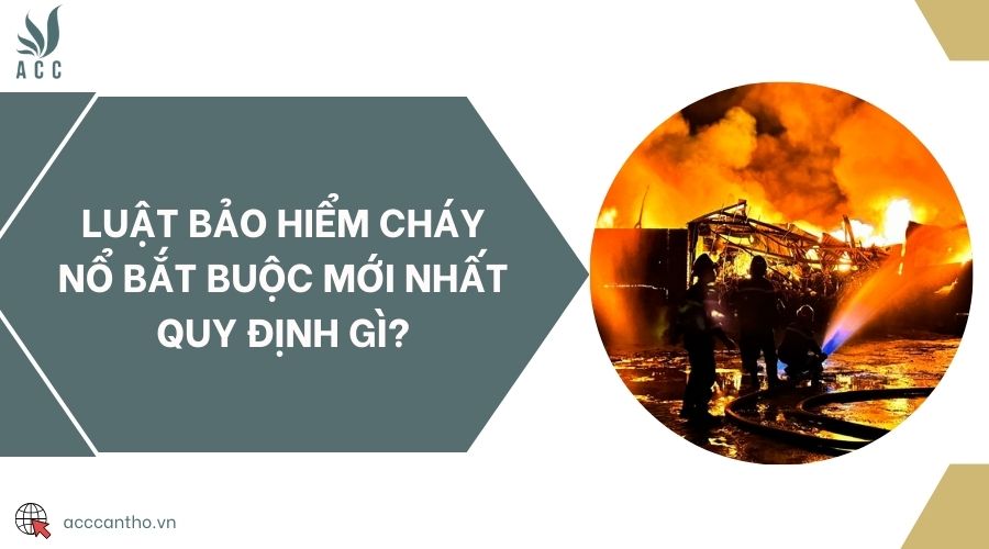 Luật bảo hiểm cháy nổ bắt buộc mới nhất quy định gì?