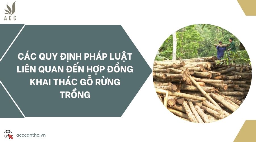Mẫu đề án vị trí việc làm mới nhất