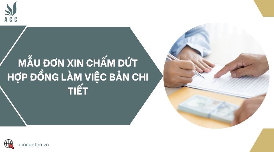 Mẫu đơn xin chấm dứt hợp đồng làm việc bản chi tiết