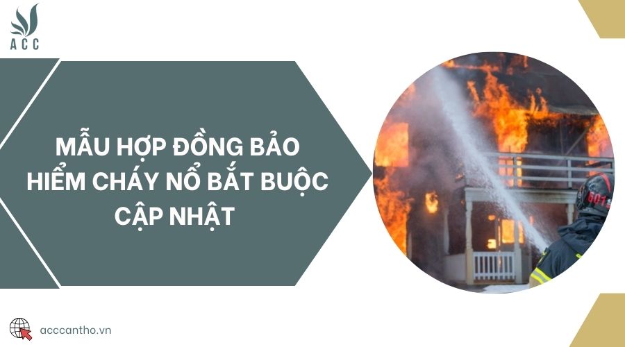 Mẫu hợp đồng bảo hiểm cháy nổ bắt buộc cập nhật 