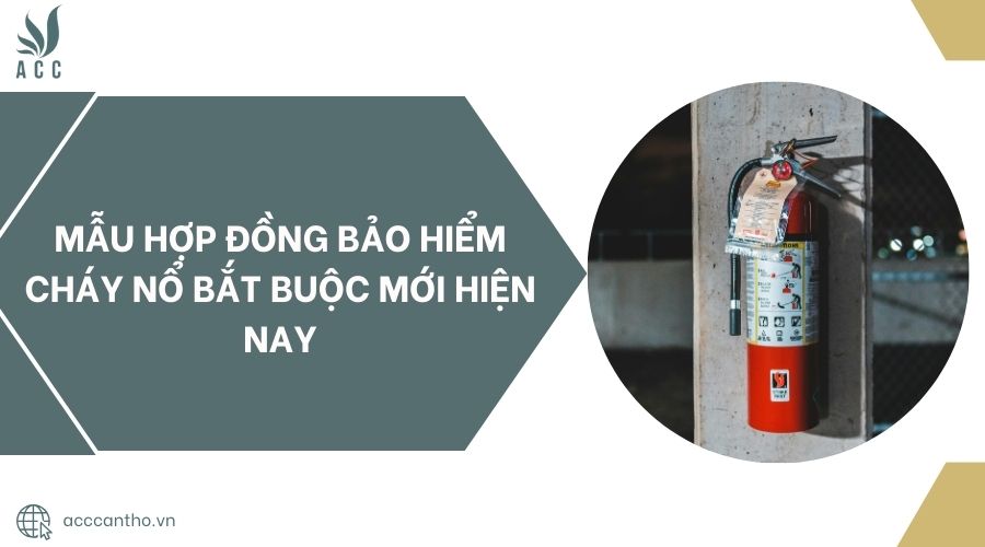 Mẫu hợp đồng bảo hiểm cháy nổ bắt buộc mới hiện nay