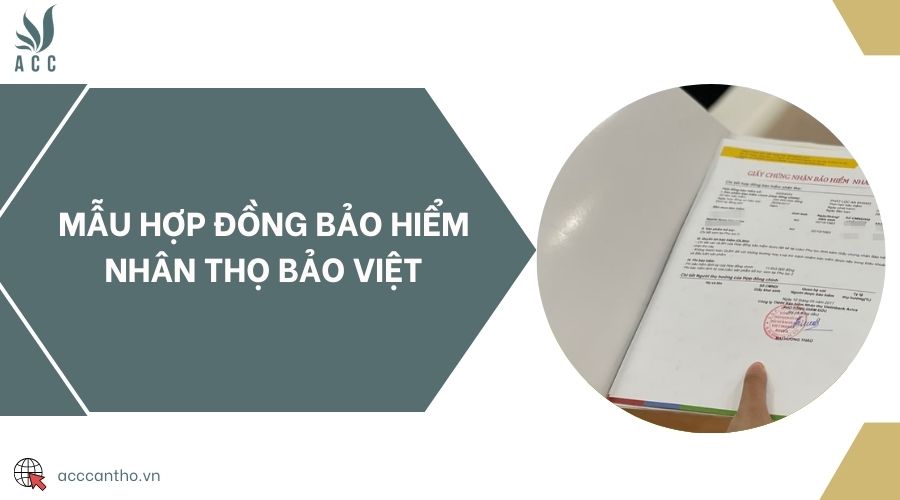 Mẫu hợp đồng bảo hiểm nhân thọ Bảo Việt