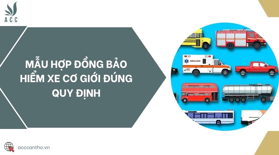 Mẫu hợp đồng bảo hiểm xe cơ giới đúng quy định