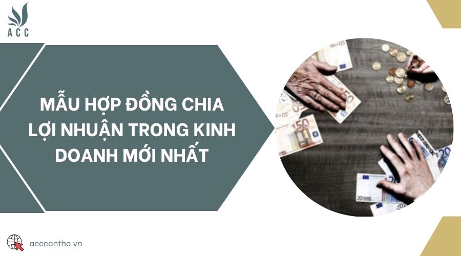 Mẫu hợp đồng chia lợi nhuận trong fv888 mới nhất