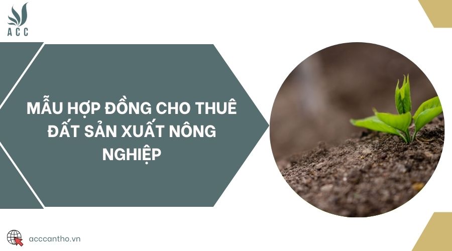 Mẫu hợp đồng cho thuê đất sản xuất nông nghiệp