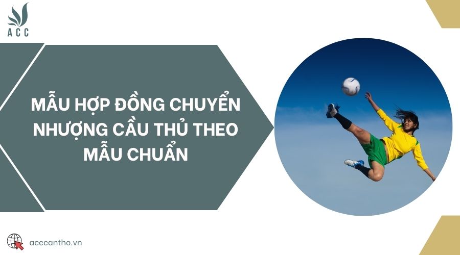Mẫu hợp đồng chuyển nhượng cầu thủ theo mẫu chuẩn