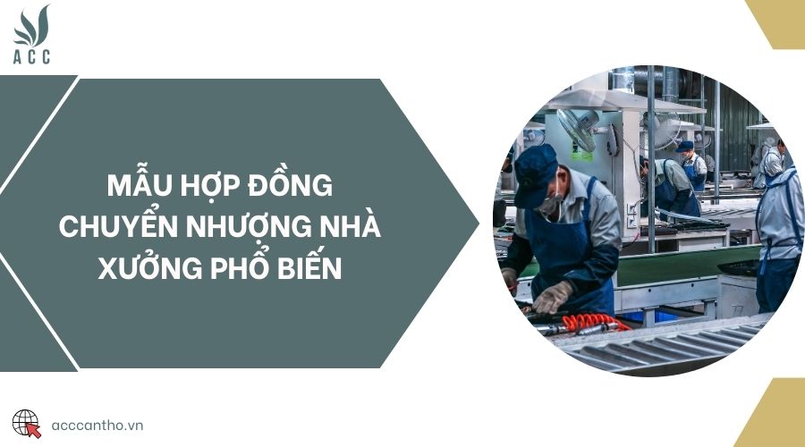Mẫu hợp đồng chuyển nhượng nhà xưởng phổ biến