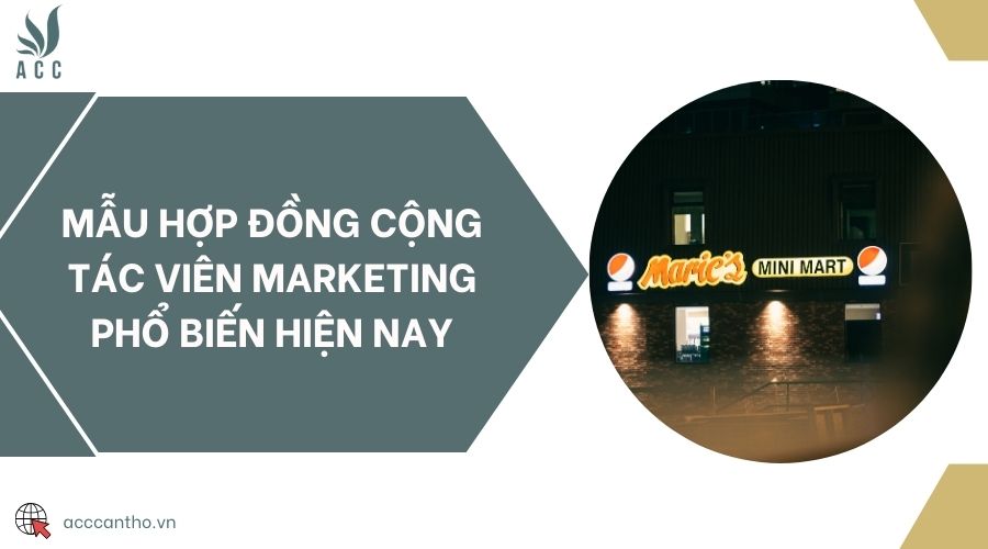 Mẫu hợp đồng cộng tác viên marketing phổ biến hiện nay