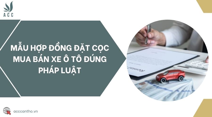 Mẫu hợp đồng đặt cọc mua bán xe ô tô đúng pháp luật
