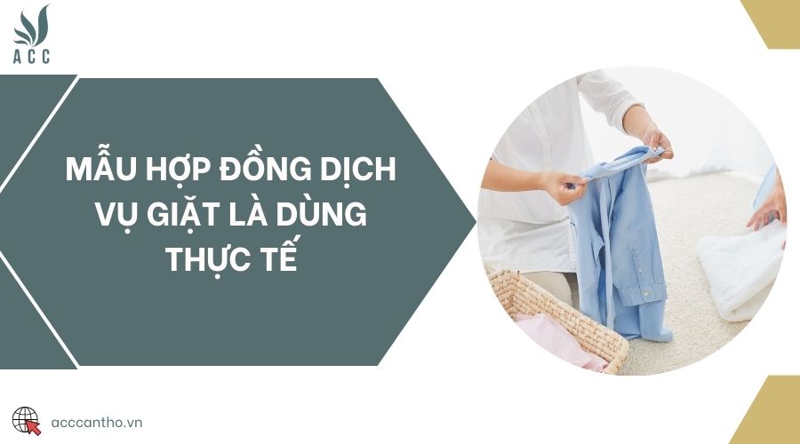 Mẫu hợp đồng fv888 giặt là dùng thực tế