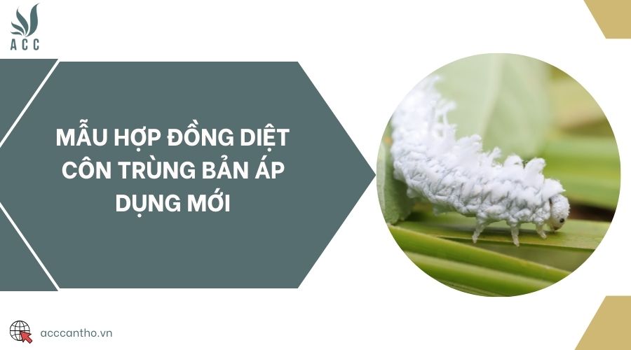Mẫu hợp đồng diệt côn trùng bản áp dụng mới