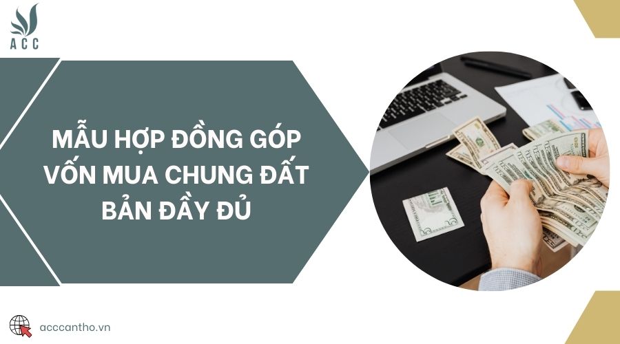 Mẫu hợp đồng góp vốn mua chung đất bản đầy đủ