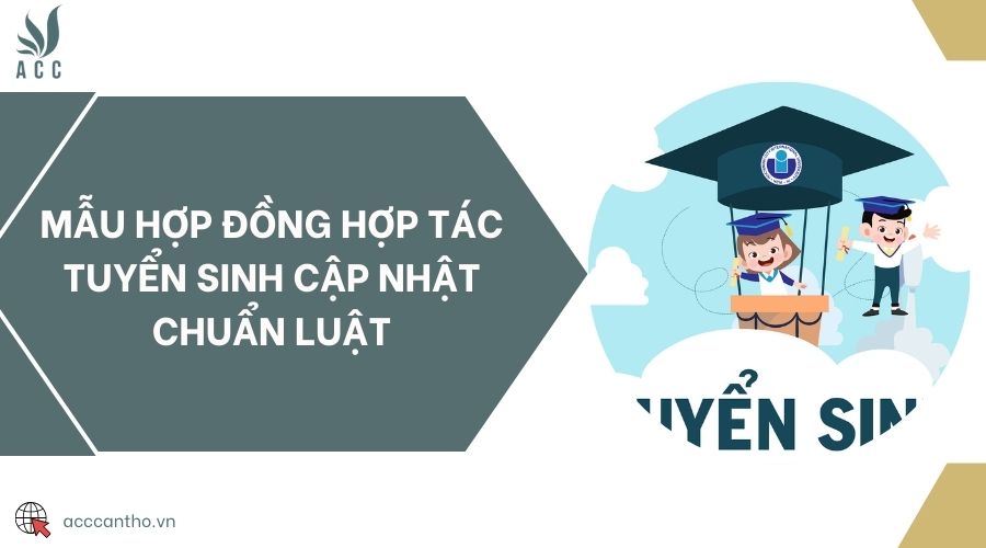 Mẫu hợp đồng hợp tác tuyển sinh cập nhật chuẩn luật