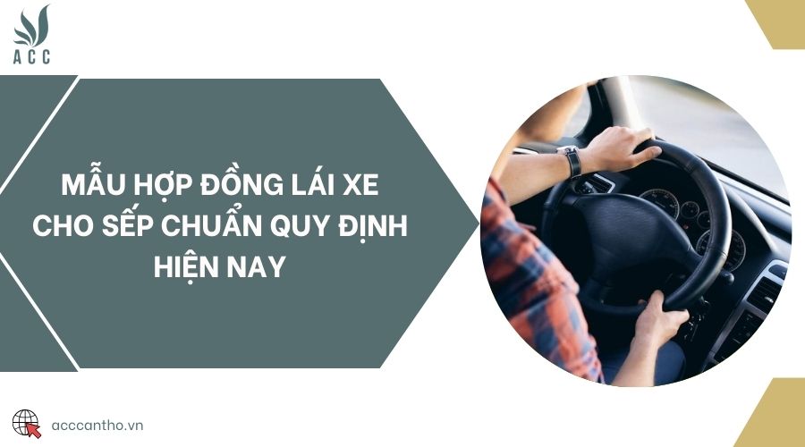 Mẫu hợp đồng lái xe cho sếp chuẩn quy định hiện nay