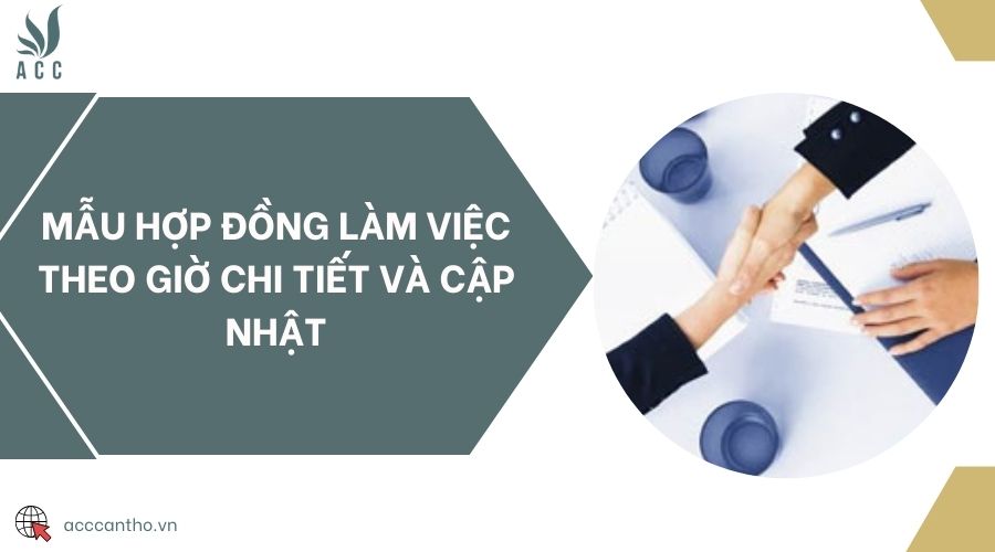 Mẫu hợp đồng làm việc theo giờ chi tiết và cập nhật