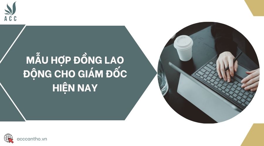 Mẫu hợp đồng fv88 link cho giám đốc hiện nay