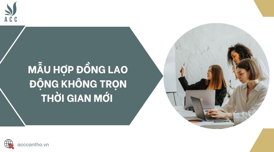 Mẫu hợp đồng fv88 link không trọn thời gian mới 