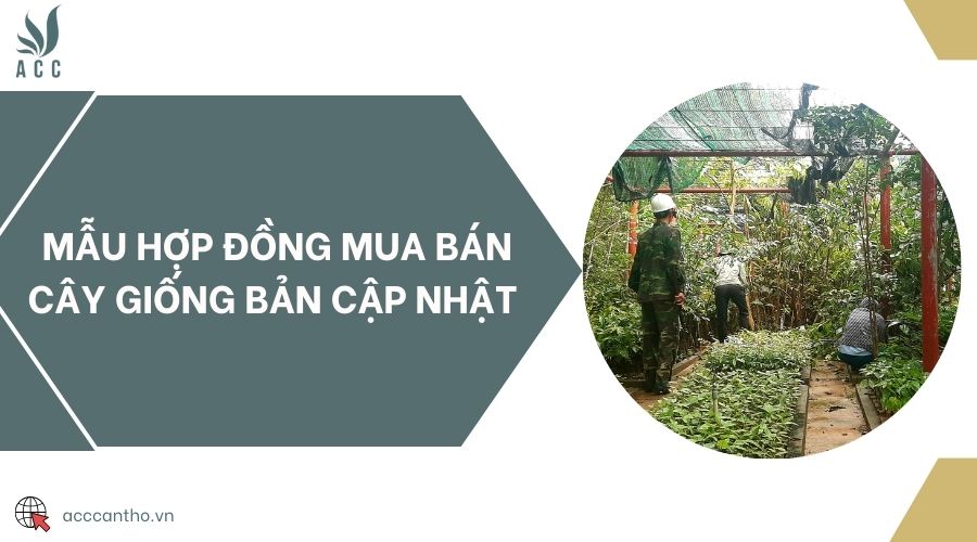 Mẫu hợp đồng mua bán cây giống bản cập nhật 