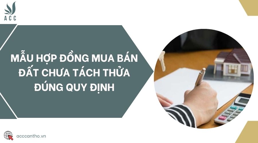 Mẫu hợp đồng mua bán đất chưa tách thửa đúng quy định