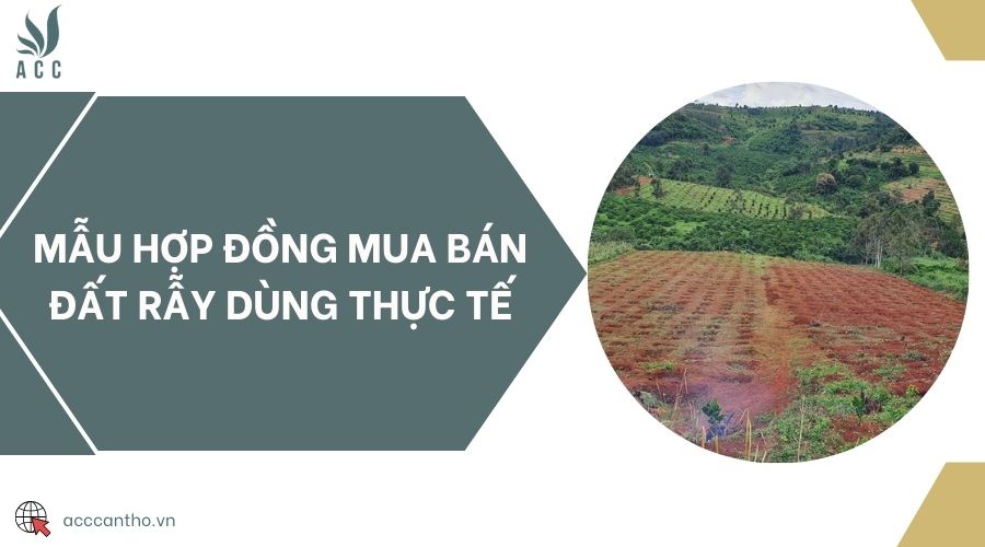 Mẫu hợp đồng mua bán đất rẫy dùng thực tế