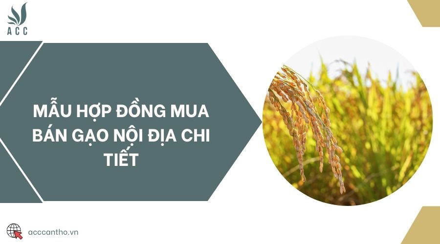 Mẫu hợp đồng mua bán gạo nội địa chi tiết