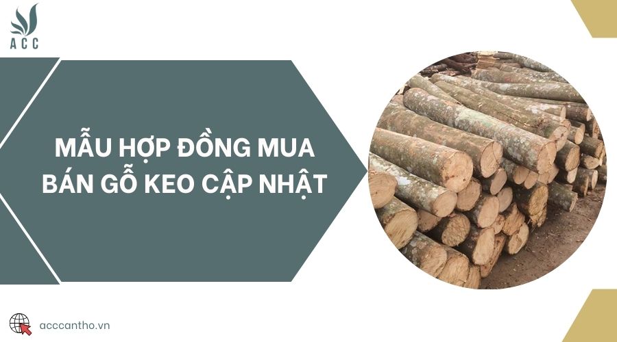 Mẫu hợp đồng mua bán gỗ keo cập nhật