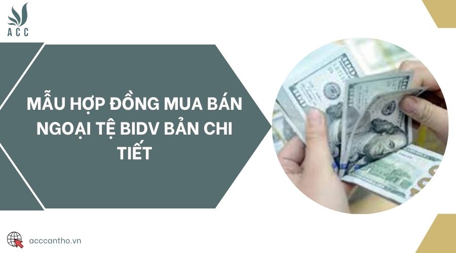 Mẫu hợp đồng mua bán ngoại tệ BIDV bản chi tiết