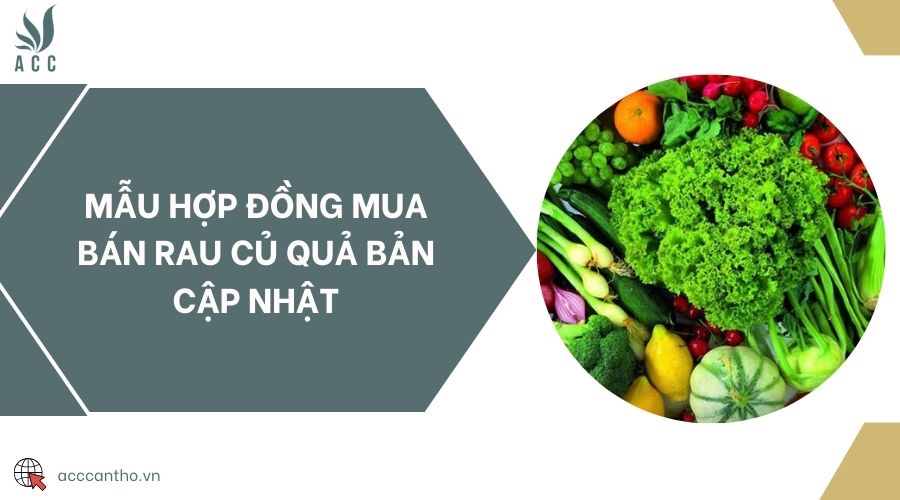 Mẫu hợp đồng mua bán rau củ quả bản cập nhật