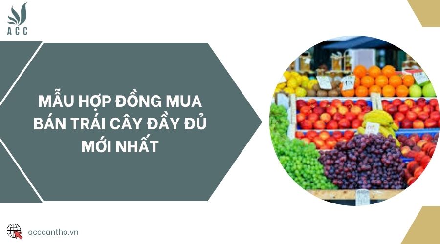 Mẫu hợp đồng mua bán trái cây đầy đủ mới nhất