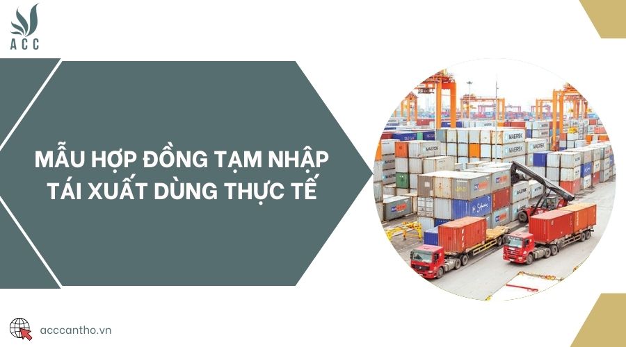 Mẫu hợp đồng tạm nhập tái xuất dùng thực tế