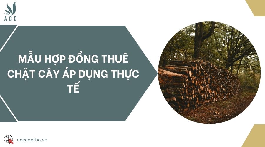 Mẫu hợp đồng thuê chặt cây áp dụng thực tế