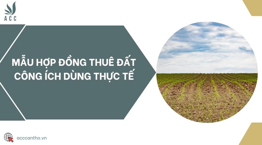 Mẫu hợp đồng thuê đất công ích dùng thực tế