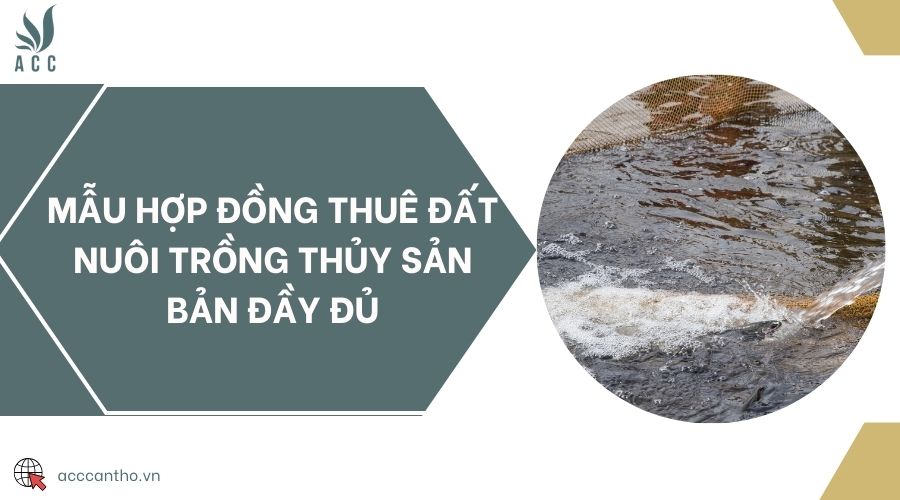 Mẫu hợp đồng thuê đất nuôi trồng thủy sản bản đầy đủ