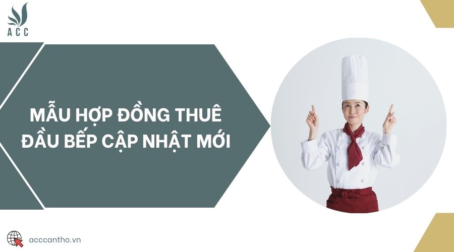 Mẫu hợp đồng thuê đầu bếp cập nhật mới