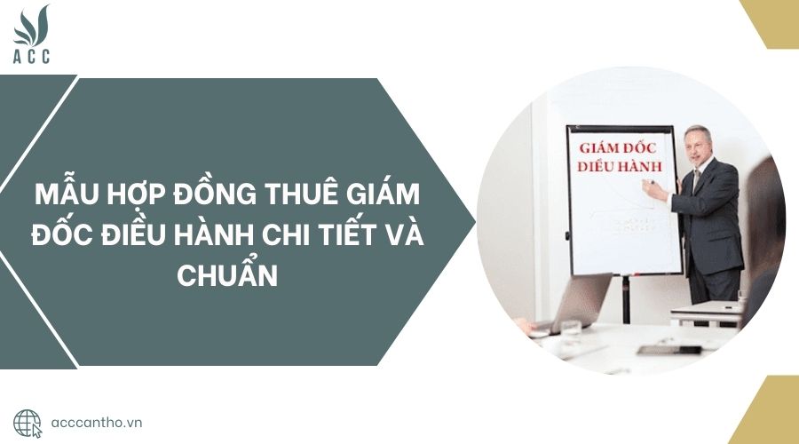 Mẫu hợp đồng thuê giám đốc điều hành chi tiết và chuẩn