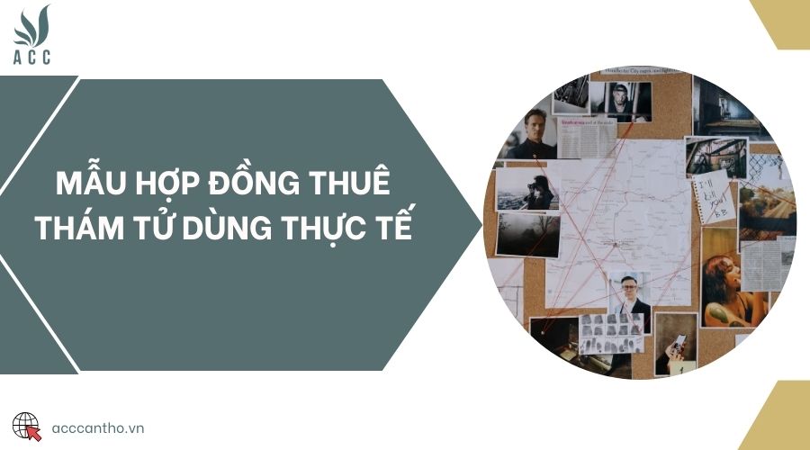Mẫu hợp đồng thuê thám tử dùng thực tế