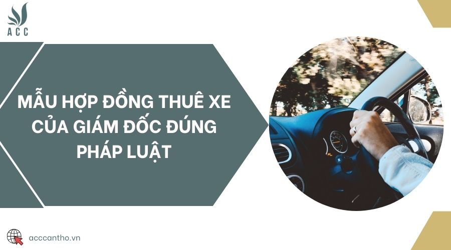 Mẫu hợp đồng thuê xe của giám đốc đúng pháp luật