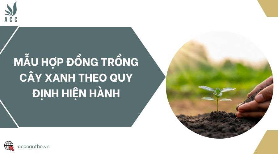 Mẫu hợp đồng trồng cây xanh theo quy định hiện hành