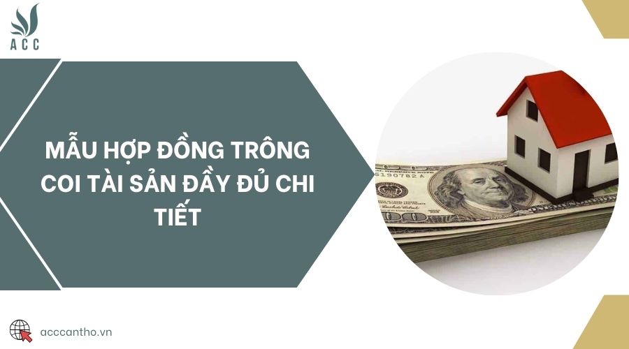 Mẫu hợp đồng trông coi tài sản đầy đủ chi tiết