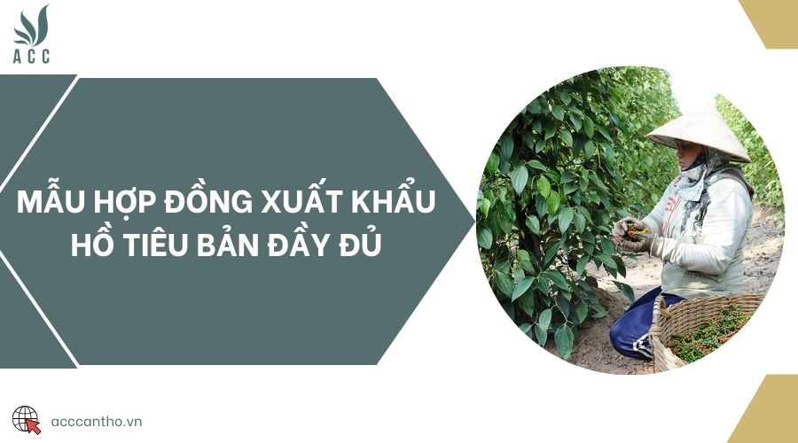 Mẫu hợp đồng xuất khẩu hồ tiêu bản đầy đủ
