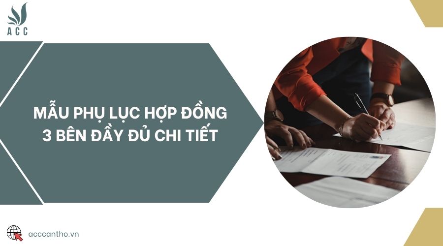 Mẫu phụ lục hợp đồng 3 bên đầy đủ chi tiết